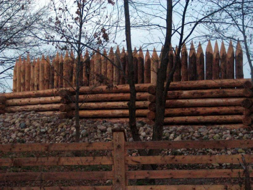 http://images30.fotosik.pl/117/8f6deba62079a5a7med.jpg