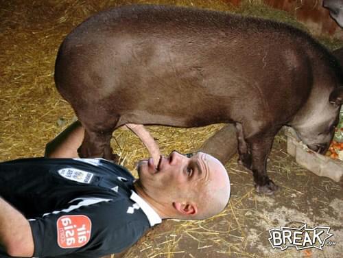 Obrazek