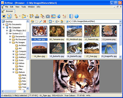 353529ef678b52d8.gif