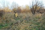 http://images30.fotosik.pl/295/ff378bd1c23a367em.jpg