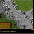 #tibia