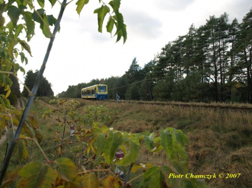 SA109-006 w jesiennym krajobrazie mknie do Chojnic. #kolej #PKP #jesień