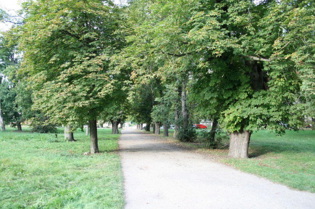 Ruiny opactwa cystersów w Lubiążu. Największego opactwa cysterskiego na świecie. Pierwszego opactwa cysterskiego na Śląsku. #Lubiąż #Śląsk #DolnyŚląsk #Silesia