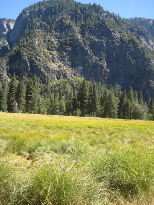 Park Yosemite