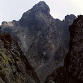 Diva Veża
- a... zdjęcie gdzieś ze ścieżki z Polskiego Grzebienia (Pollsky Hreben) na Małą Wysoką (Vychodna Vysoka) #góry #mountain #Tatry #Dzika #Diva