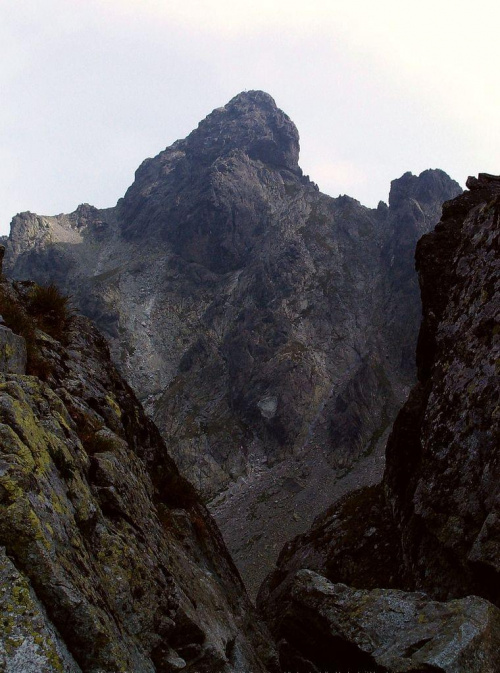 Diva Veża
- a... zdjęcie gdzieś ze ścieżki z Polskiego Grzebienia (Pollsky Hreben) na Małą Wysoką (Vychodna Vysoka) #góry #mountain #Tatry #Dzika #Diva
