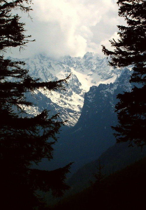 Młynarczyk taki mały, a taki ładny #góry #mountain #Tatry #Młynarczyk