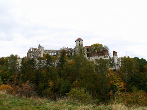 Zamek Tęczyn w Rudnie