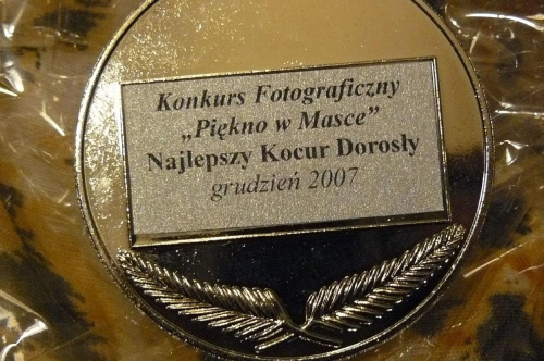Warszawa 15. XII. 2007