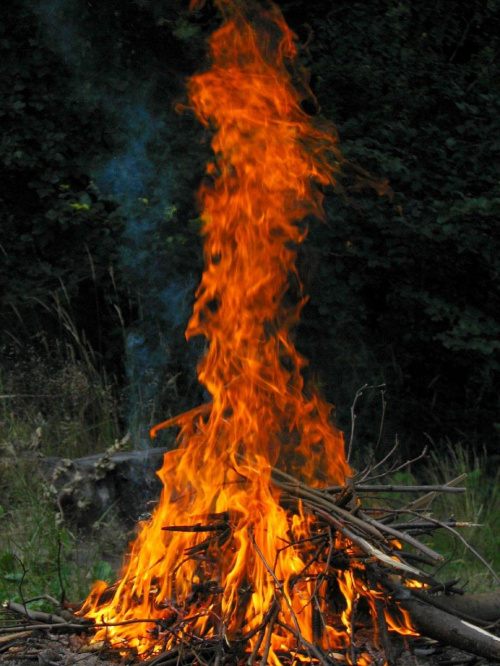 troszkę nam się ognisko rozszalało :] #ogień #ognisko
