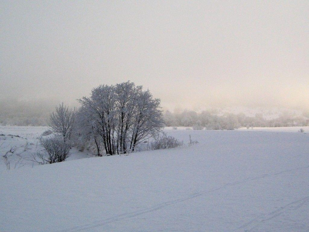 Zdjęcia Bieszczad zimą. Grudzień 2007 #GóryZimaŚnieg