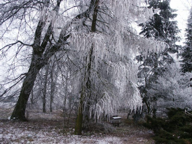 RUDOLFOWO PARK