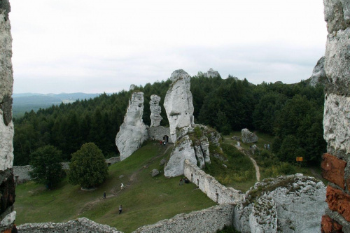 Zamek Ogrodzieniec