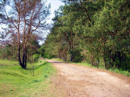 Zdjęcia przedstawialą starą drogę wiosną 2007r.