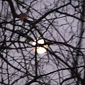 Zimowa pełnia #księżyc #pełnia