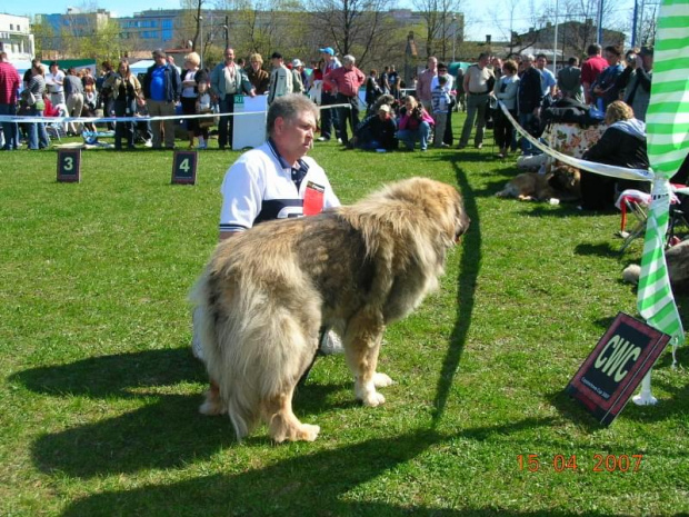 Częstochowa 2007