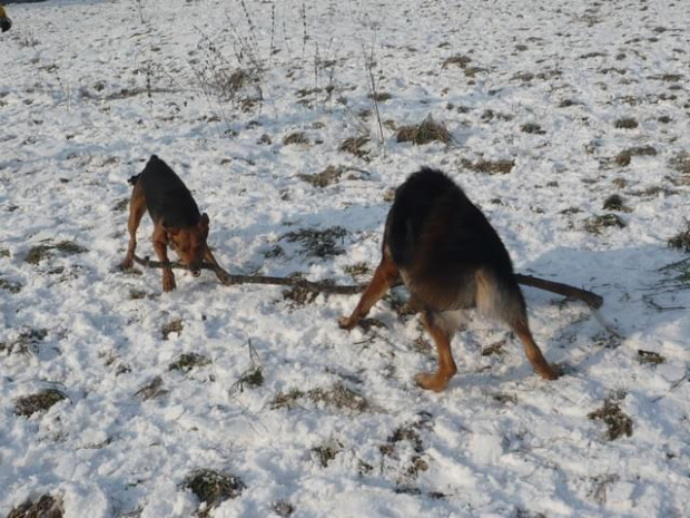 I zdobył mo