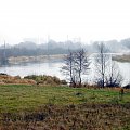 rz.Narew
