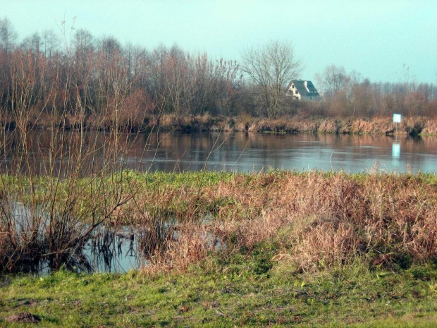 rz.Narew