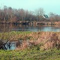rz.Narew