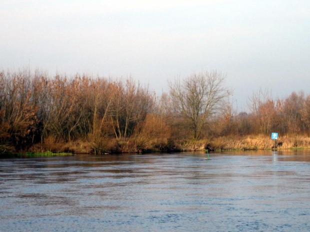 rz.Narew