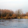 rz.Narew