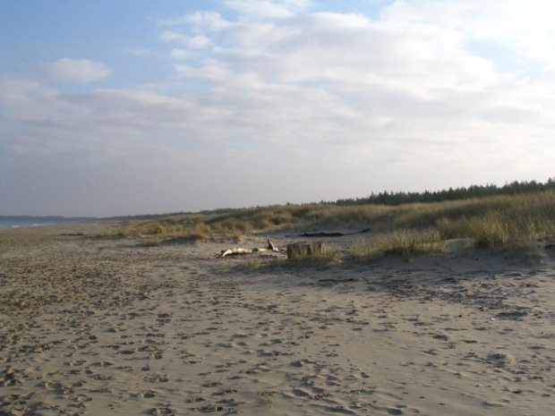 Morze 2007