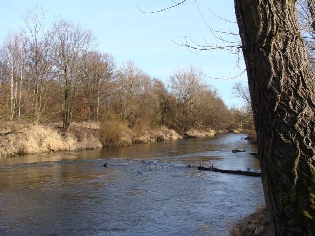 widoki nad Bobrem #Przyroda #widoki #rzeka #woda