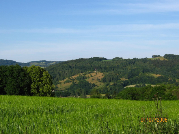 widok #las #pszenica #góry #widok #Wleń