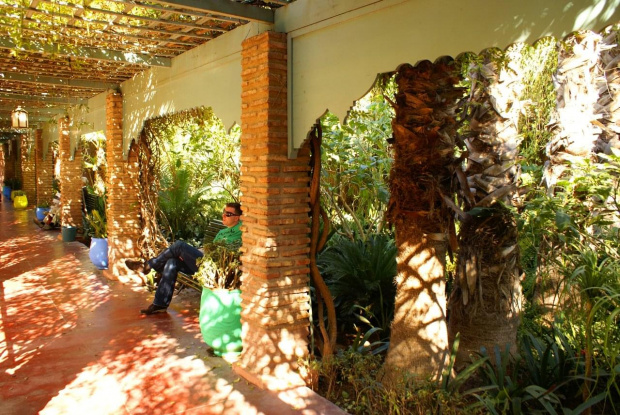 Marrakesz - Jardin Majorelle