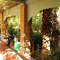 Marrakesz - Jardin Majorelle