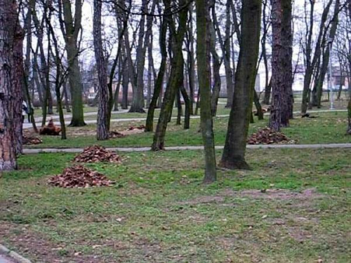 Porządkowanie parku przed nadejciem zimy