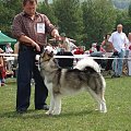 ALASKAN MALAMUTE - reproduktor, Hurricane Appalachian