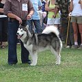 ALASKAN MALAMUTE - reproduktor, Hurricane Appalachian