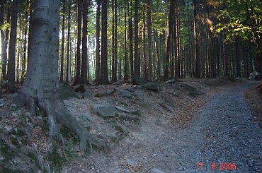 Sleza. Od nazwy tej gory nazwe wzielo plemie slezan, a od plemienia nazwa kraju Slask. #Sobotka #Sleza #Slask #Silesia #DolnySlask