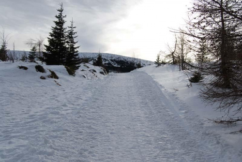 Karpacz 2008