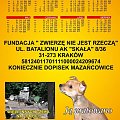 Kalendarz na pomoc psom z Mazańcowic