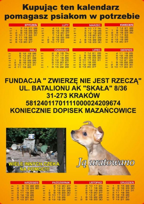 Kalendarz na pomoc psom z Mazańcowic