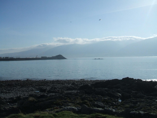 fenit .irlandia