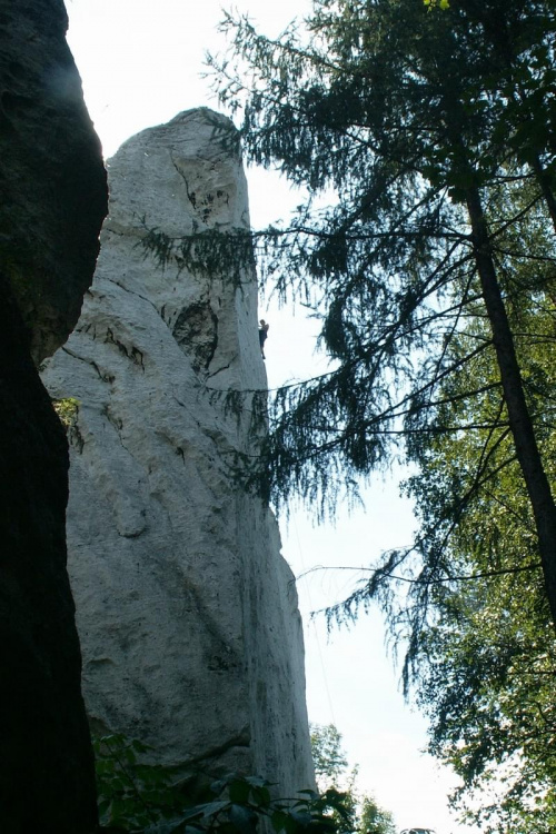 Zamek Ogrodzieniec Podzamcze