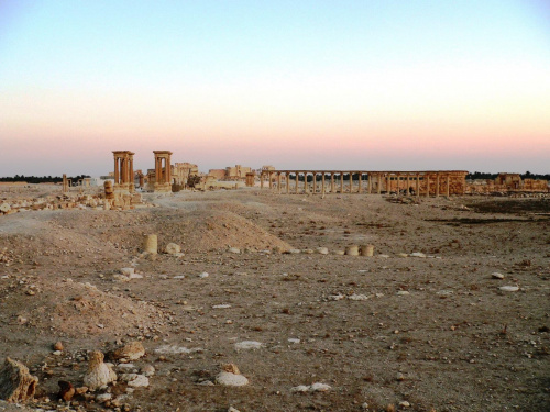 Palmyra