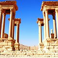 Palmyra