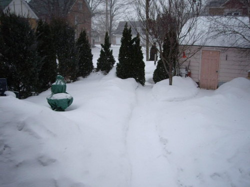 kolejna sniezyca
29 luty 2008 #Luty2008 #zima
