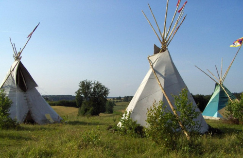 Kożyczkowo, Festiwal Wegetariański 2007