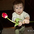 .....z okazji Dnia Kobiet.... :-)