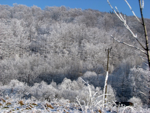 las zimą #przyroda #natura #zima #śnieg #krajobraz #karkonosze #JeleniaGóra