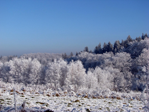 las zimą #przyroda #natura #zima #śnieg #krajobraz #karkonosze #JeleniaGóra