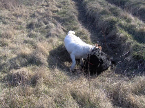 Skrajnica-30.03.2008r.