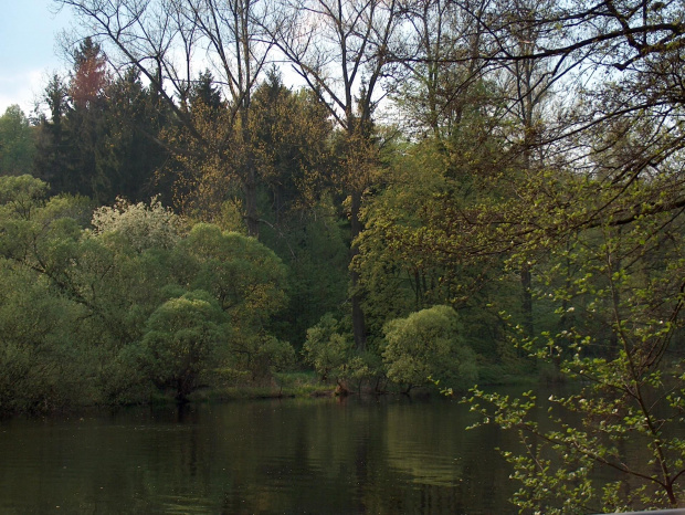 Bóbr, okolice Pilchowic #ZaporaWodna #krajobraz #ElektrowniaWodna #pilchowice #JeleniaGóra #tama #bóbr #natura #przyroda #rzeka