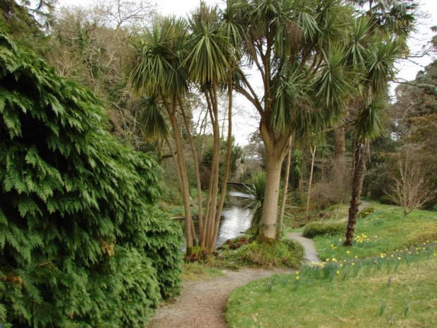 Mount Usher Gardens